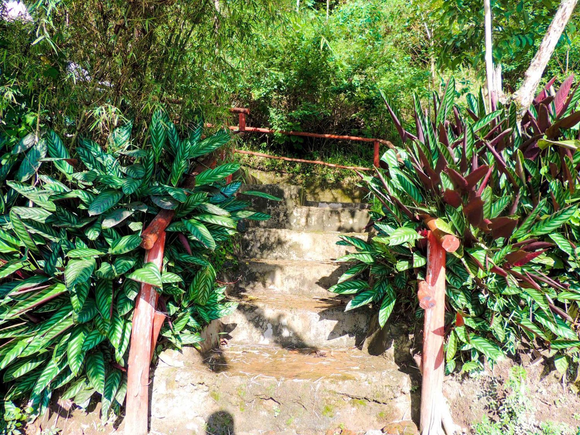 Mutanda Eco Community Center Hotel Kisoro Eksteriør billede